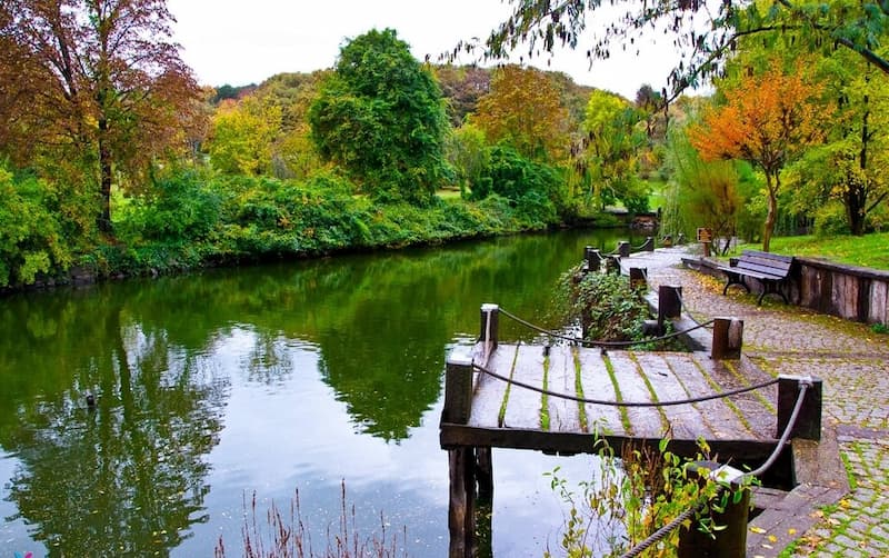 İstanbul’da Huzur Veren Bir Yer: Atatürk Arboretumu