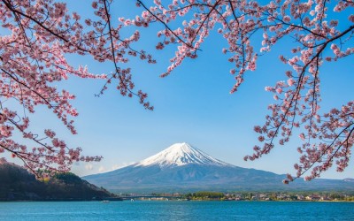 Ramazan Bayramı Ve Sakura Dönemi Özel Ekstra Turlar Dahil Japonya Güney Kore Turu