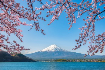 Ramazan Bayramı Ve Sakura Dönemi Özel Ekstra Turlar Dahil Japonya Güney Kore Turu