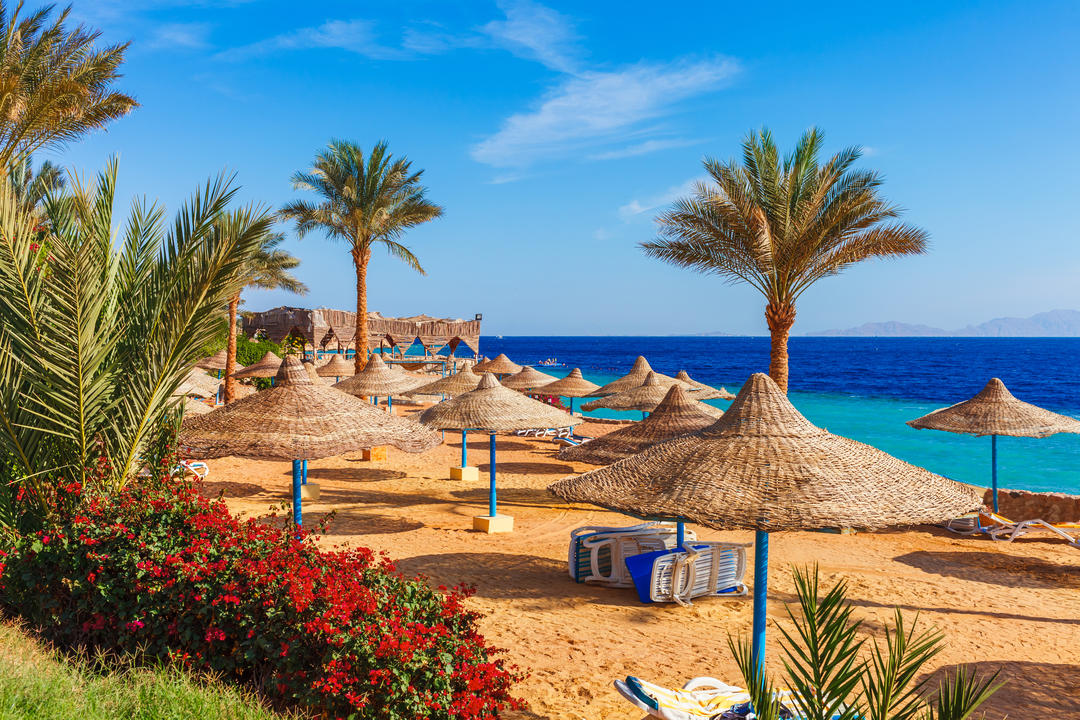 Sharm El Sheikh Turu Thy İle